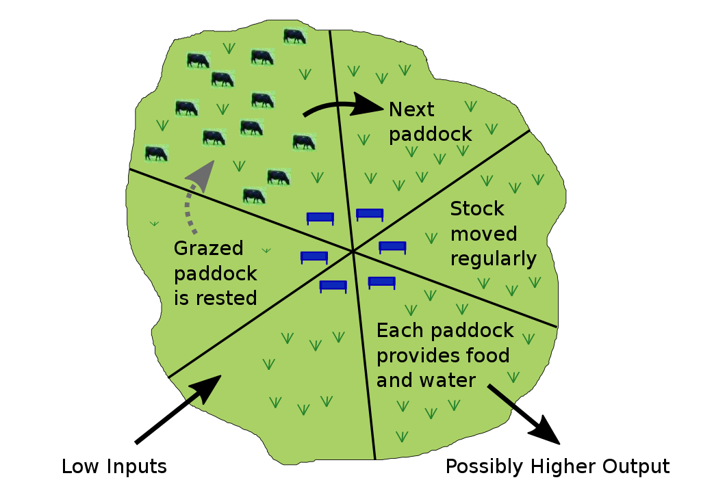 Rotational Grazing Diagram